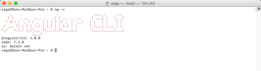 Angular CLI Checking the version