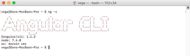 Angular CLI version check