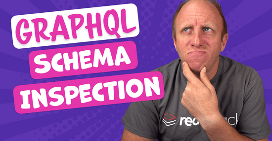Spring for GraphQL Schema Mapping Inspection Report
